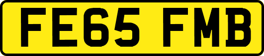 FE65FMB
