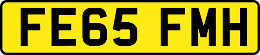 FE65FMH