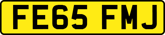 FE65FMJ