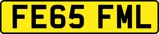 FE65FML