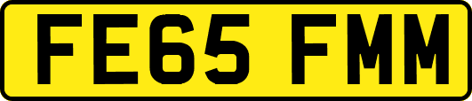 FE65FMM