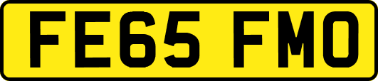 FE65FMO
