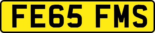 FE65FMS