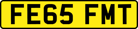 FE65FMT