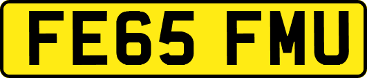 FE65FMU