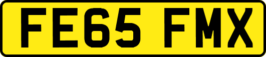 FE65FMX