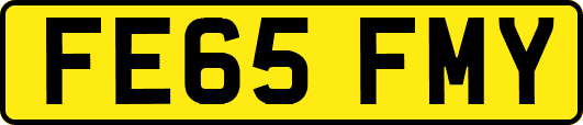 FE65FMY