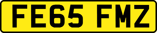 FE65FMZ