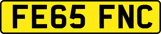 FE65FNC
