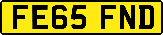 FE65FND