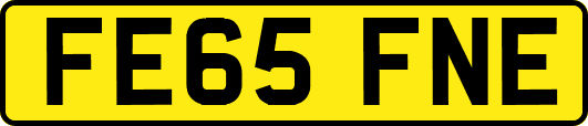 FE65FNE