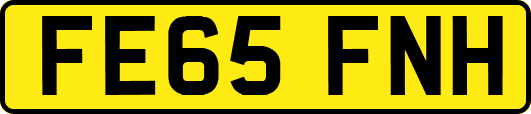 FE65FNH