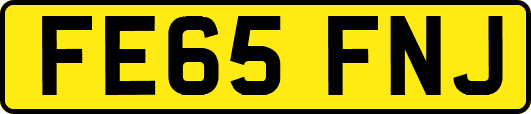 FE65FNJ