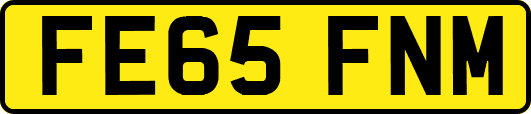 FE65FNM