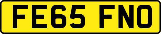 FE65FNO