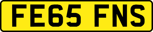 FE65FNS