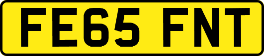 FE65FNT