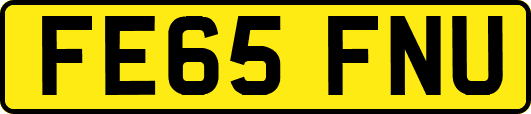 FE65FNU