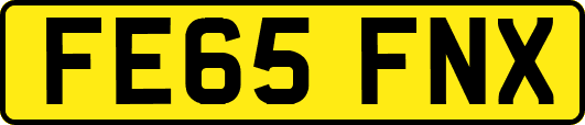 FE65FNX
