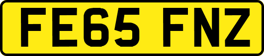 FE65FNZ