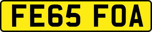 FE65FOA