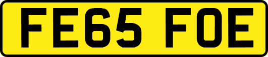 FE65FOE