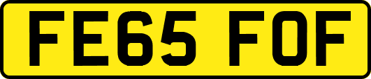 FE65FOF