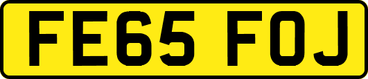 FE65FOJ