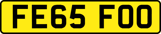 FE65FOO