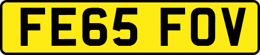 FE65FOV