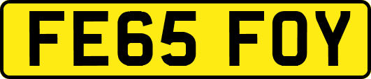 FE65FOY