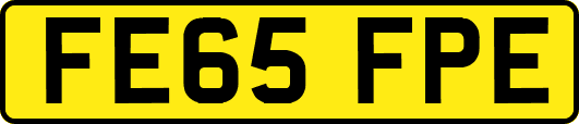 FE65FPE