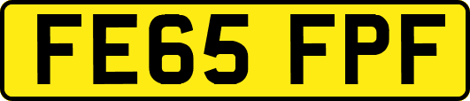 FE65FPF
