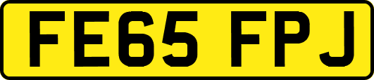 FE65FPJ
