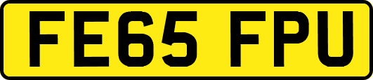 FE65FPU