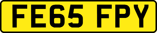 FE65FPY