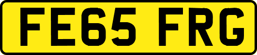FE65FRG