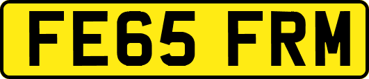 FE65FRM