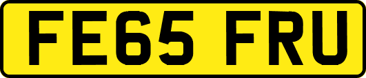 FE65FRU