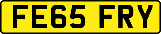FE65FRY