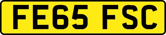 FE65FSC