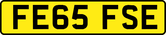 FE65FSE