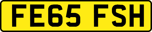 FE65FSH