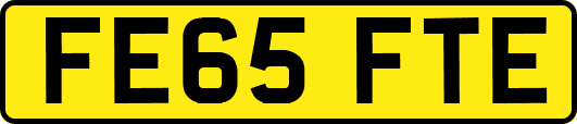 FE65FTE
