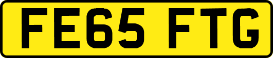 FE65FTG