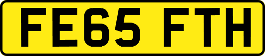 FE65FTH