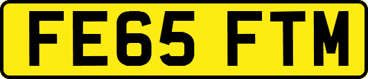 FE65FTM