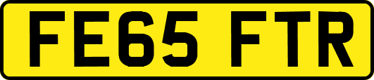 FE65FTR