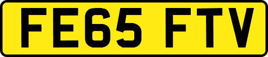 FE65FTV