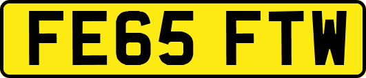 FE65FTW